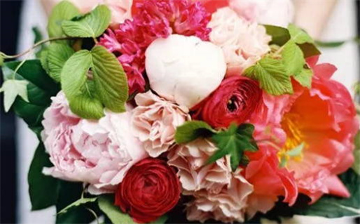 摩羯座结婚率高吗男生多吗_摩羯座结婚率高吗男生多吗知乎