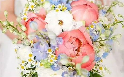 生肖鼠可以带生肖鼠好吗_生肖鼠能带鼠饰品吗