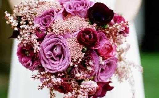 2014年属马什么命(2014年属马什么命五行属什么)