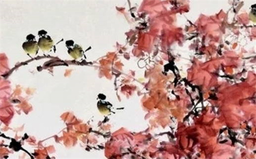 1996年鼠的命运解析与性格特点分析