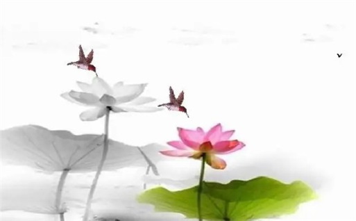 2026年07月01日动土黄历查询