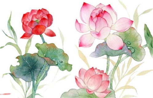 2028年01月25日不适合开工吗,这天动土合适吗