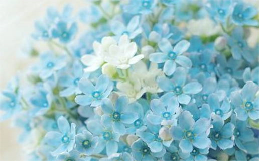 2026年10月18日结婚黄历查询