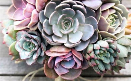 农历二〇三一年九月十三黄历不适宜嫁娶吗,结婚好日子查询