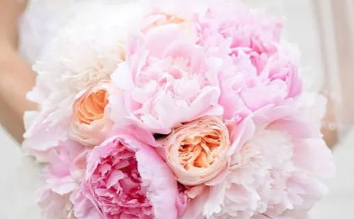 2029年12月25日老黄历适合办理结婚证吗