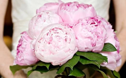 农历二〇三〇年八月廿五黄历领证不推荐吗,这天领证合适吗