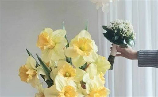 农历二〇二七年三月初三黄历不适宜婚姻登记吗,领证好日子查询