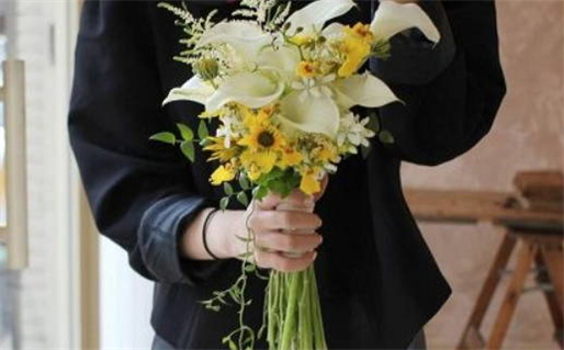 农历二〇二七年二月初六黄历不推荐登记结婚吗,领证好日子有哪些