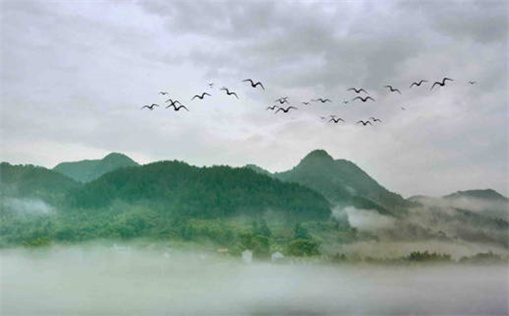 2029年04月25日领证黄历查询 2029年04月25日领证黄历查询