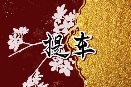 农历二〇三〇年五月廿九黄历不推荐取新车吗,提车好日子查询