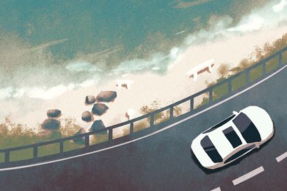 2029年11月26日不适宜提取座驾吗,这天提车合适吗