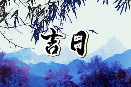 2029年07月01日提车黄历查询