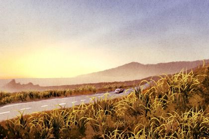 农历二〇二七年八月廿一黄历不适合提新车吗,提车好日子有哪些